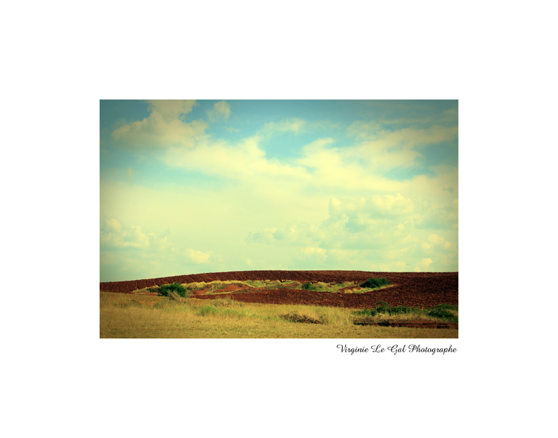 Horizon lointain