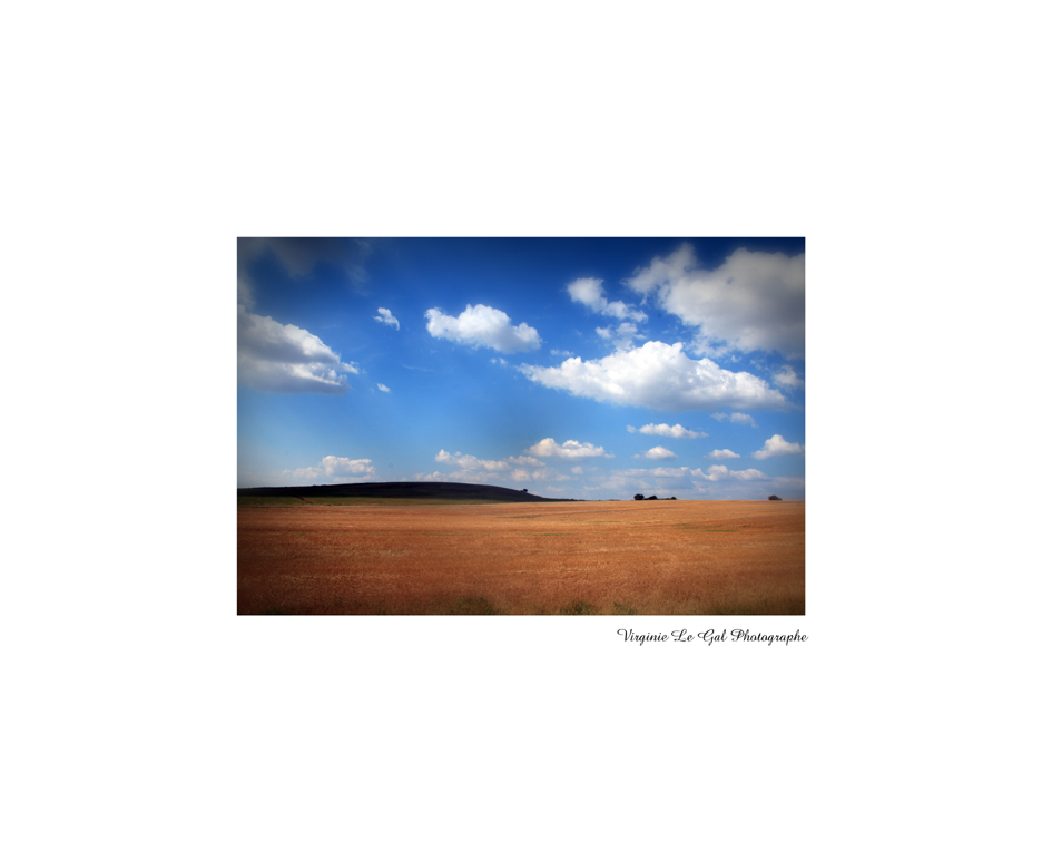 Course de nuages